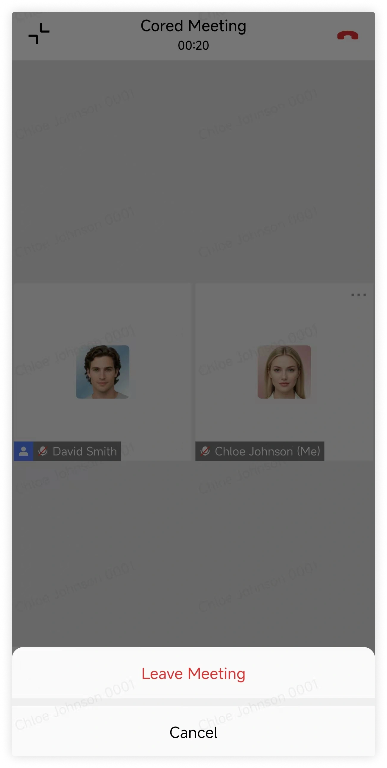 Leave or End Meeting